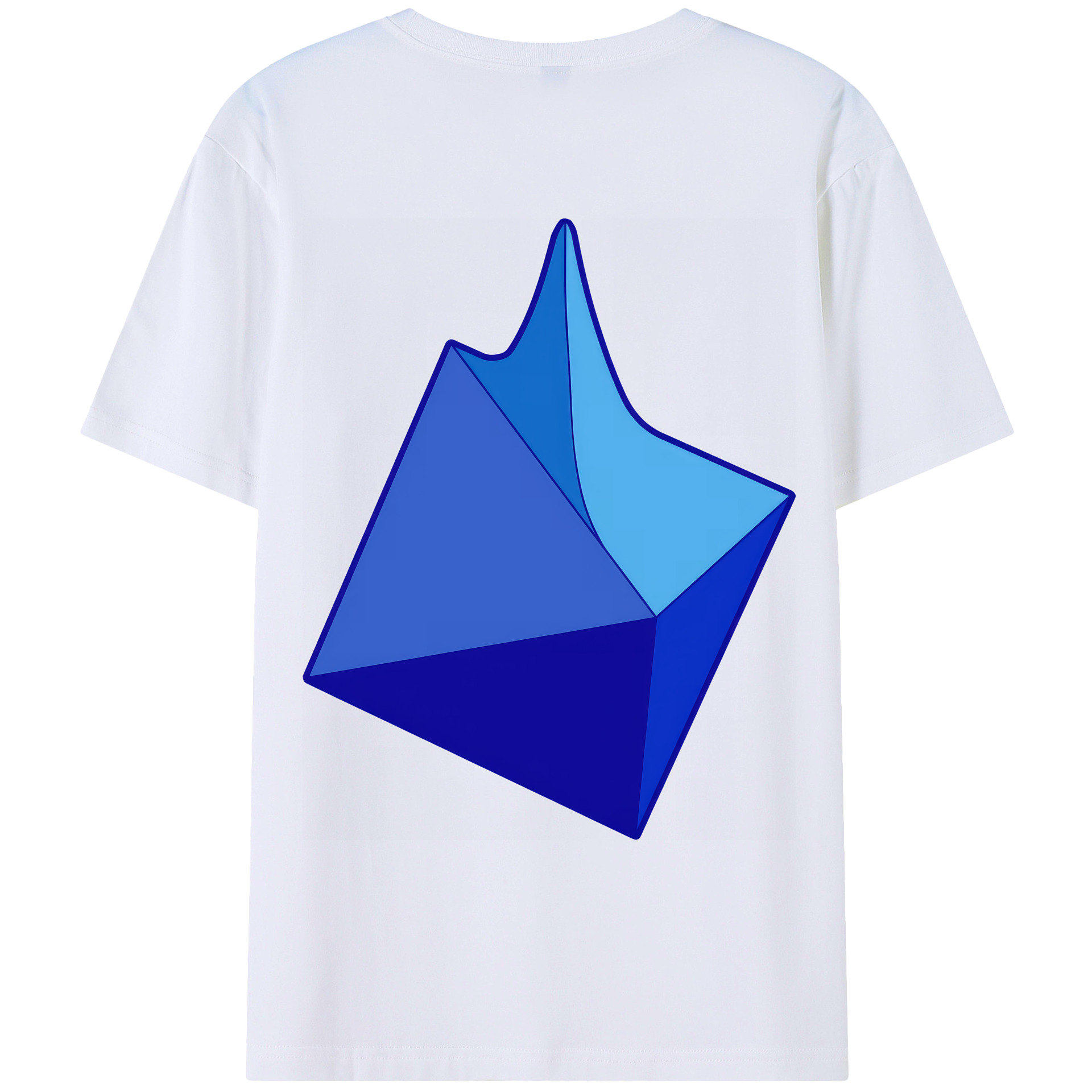 （画像用） EVA 新世紀エヴァンゲリオン 綿100％ メンズ半袖Tシャツ（バックプリント） 通気性