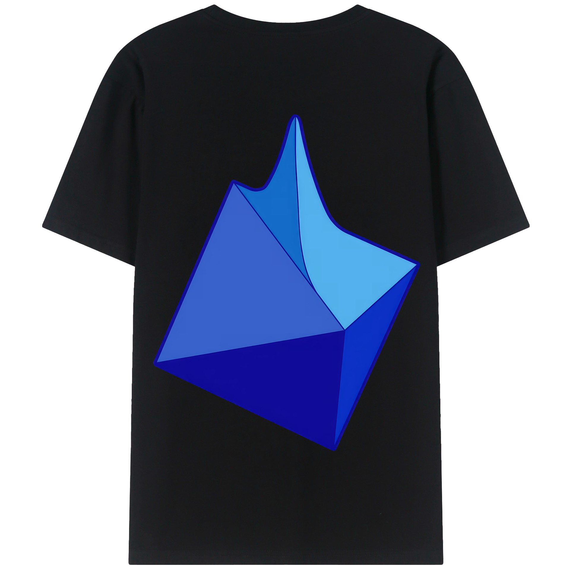 （画像用） EVA 新世紀エヴァンゲリオン 綿100％半袖Tシャツ（背面プリント）