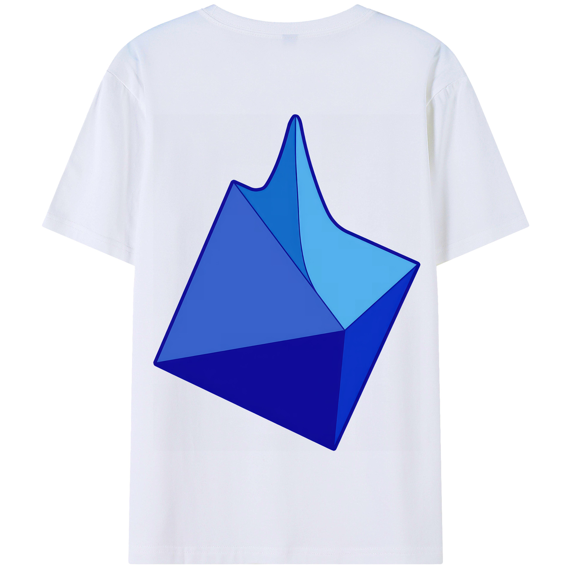 （画像用） EVA 新世紀エヴァンゲリオン 綿100％半袖Tシャツ（背面プリント）